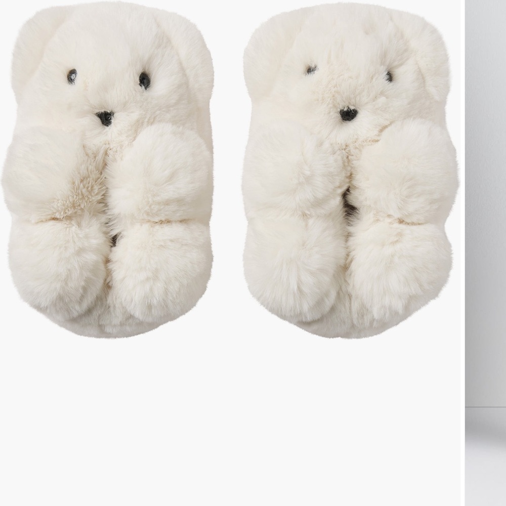 Fluffy White Skims Teddy Bear Slippers